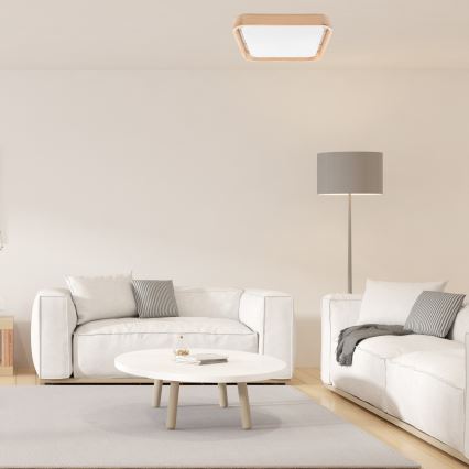 Brilagi - LED Димируем плафон MANAROLA CUBIC LED/24W/230V 3000-6500K бор + дистанционно управление
