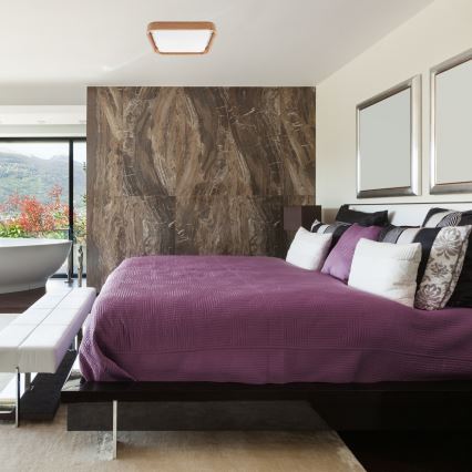 Brilagi - LED Димируем плафон MANAROLA CUBIC LED/24W/230V 3000-6500K дъб + дистанционно управление