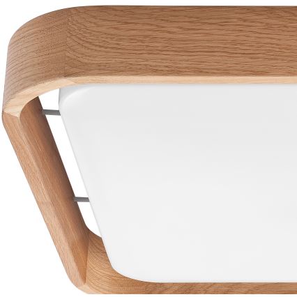 Brilagi - LED Димируем плафон MANAROLA CUBIC LED/24W/230V 3000-6500K дъб + дистанционно управление