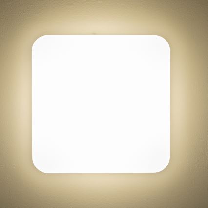 Brilagi - LED Плафониера PLAIN LED/24W/230V 3000K
