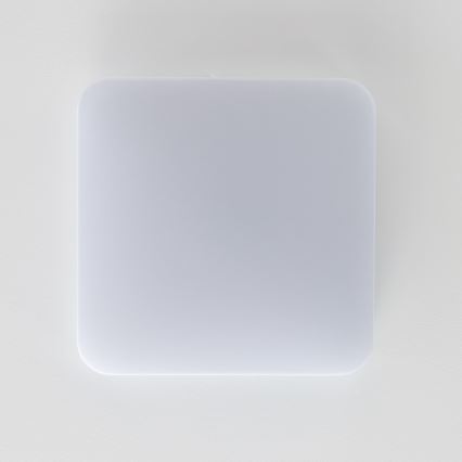 Brilagi - LED Плафониера PLAIN LED/24W/230V 3000K