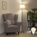 Brilagi - LED подова лампа CERIA 1xE27/20W/230V Ø 30 см бежова/златна