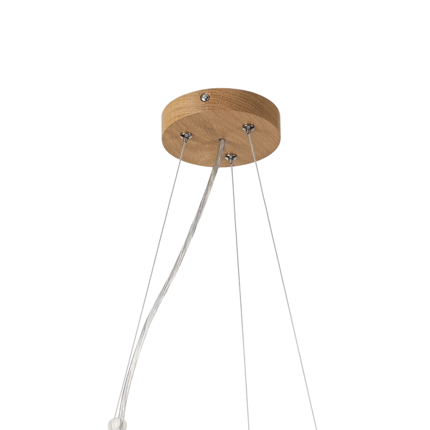 BRILAGI - LED полилей на кабел CARVALHO MODERN 3xE27/60W/230V дъб, диаметър 47,5 см