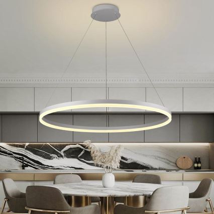 Brilagi - Димируема LED люстра на кабел CIRCLE LED/55W/230V 3000-6500K + дистанционно управление