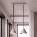 BRILAGI - LED Полилей на кабел CONE DOUBLE 2xGX53/15W/230V бежов