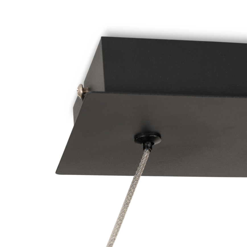 Brilagi - LED полилей на кабел ECHO LED/60W/230V 4000K 100 см черен