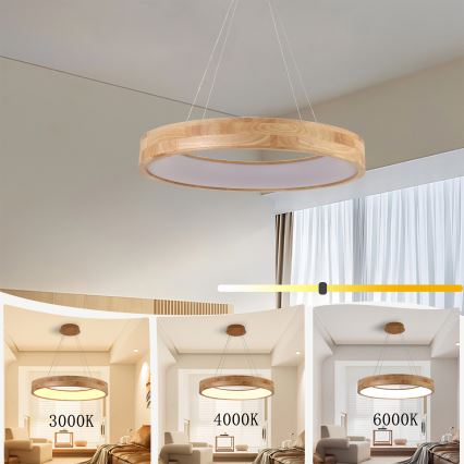 Brilagi - подвесен LED полилей на кабел FALCON WOOD LED/40W/230V 3000/4000/6000K Ø 60 см дърво