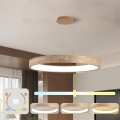 BRILAGI - LED полилей на кабел FALCON WOOD LED/60W/230V 3000/4000/6000K пр. 80 cm дърво