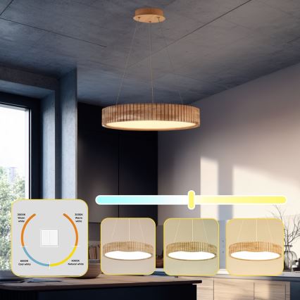 Brilagi - LED полилей на кабел FALCON WOOD MODERN LED/30W/230V 3000/4000/6000K Ø 45 см дърво