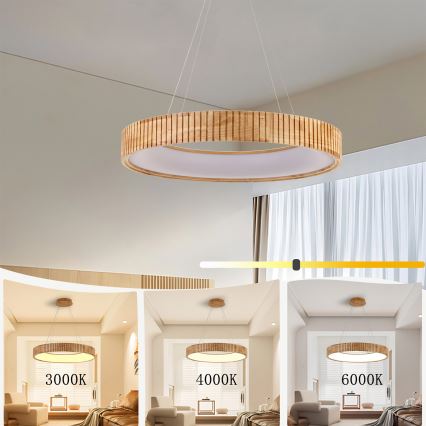 Brilagi - LED полилей на кабел FALCON WOOD MODERN LED/40W/230V 3000/4000/6000K диаметър 60 cm дърво