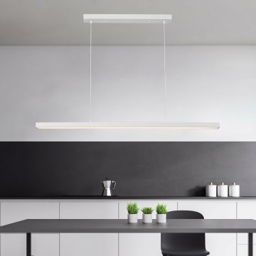 Brilagi - LED полилей на кабел PAXIS LED/30W/230V 120 cm бял