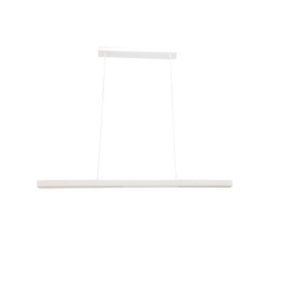 Brilagi - LED полилей на кабел PAXIS LED/30W/230V 120 cm бял