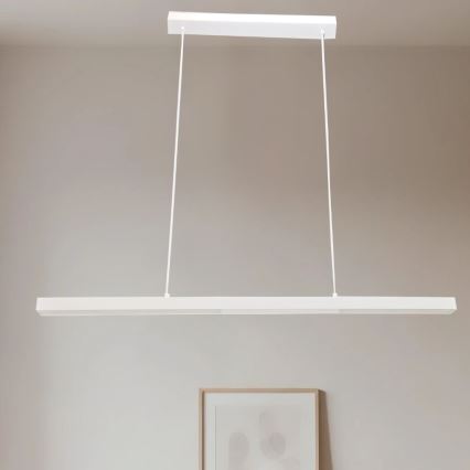 Brilagi - LED полилей на кабел PAXIS LED/30W/230V 120 cm бял