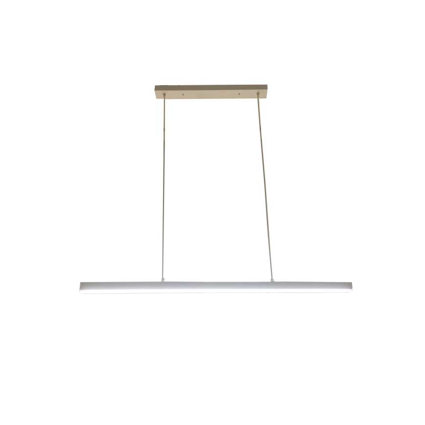 Brilagi - LED полилей на кабел PAXIS LED/30W/230V 120 cm бял
