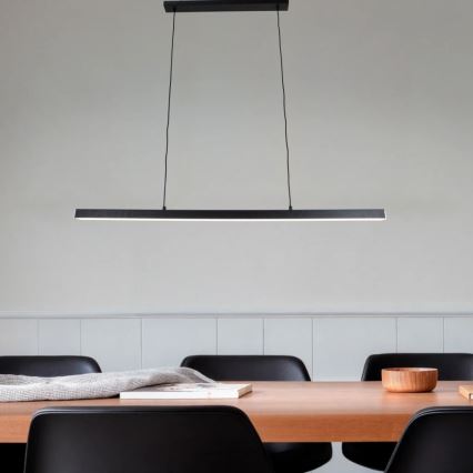 Brilagi - LED полилей на кабел PAXIS LED/30W/230V 120 см черен