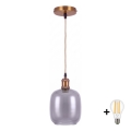 BRILAGI - LED полилей на кабел RETRO GLASS 1xE27/60W/230V пр. 14 см златист/пушено сиво