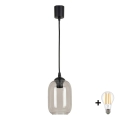 Brilagi - LED полилей на кабел RETRO GLASS 1xE27/60W/230V Ø 14 см черен/димчато сив
