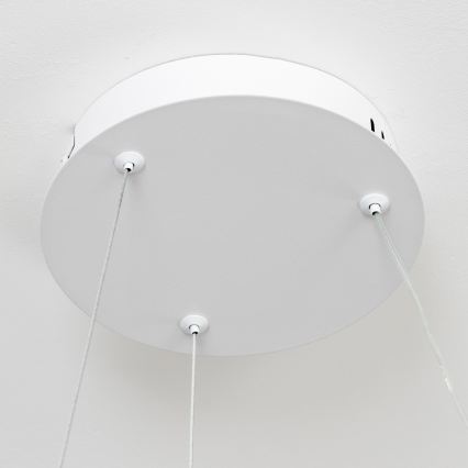 Brilagi - LED полилей на кабел FALCON II LED/67W/230V 3000-6500K Ø 40 см бял + дистанционно управление