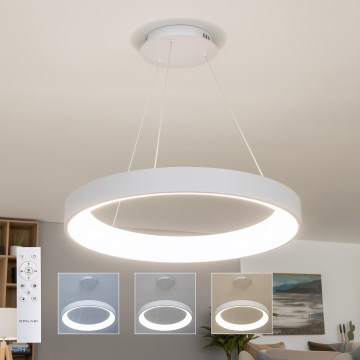 Brilagi - LED полилей на кабел с регулируема яркост FALCON II LED/99W/230V 3000-6500K Ø 60 cm бял + дистанционно управление
