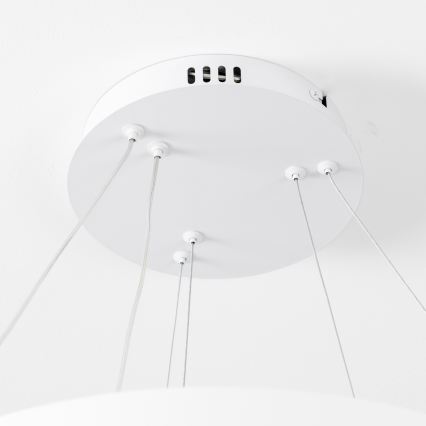 Brilagi - Полилей на кабел с възможност за димиране FALCON SLIM LED/68W/230V 3000-6500K Ø 50 см бял + дистанционно управление