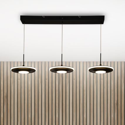 Brilagi - LED полилей на кабел VERANO 3xLED/15W/230V