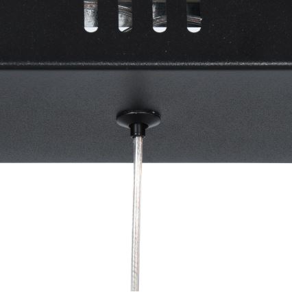 Brilagi - LED полилей на кабел VERANO 3xLED/15W/230V
