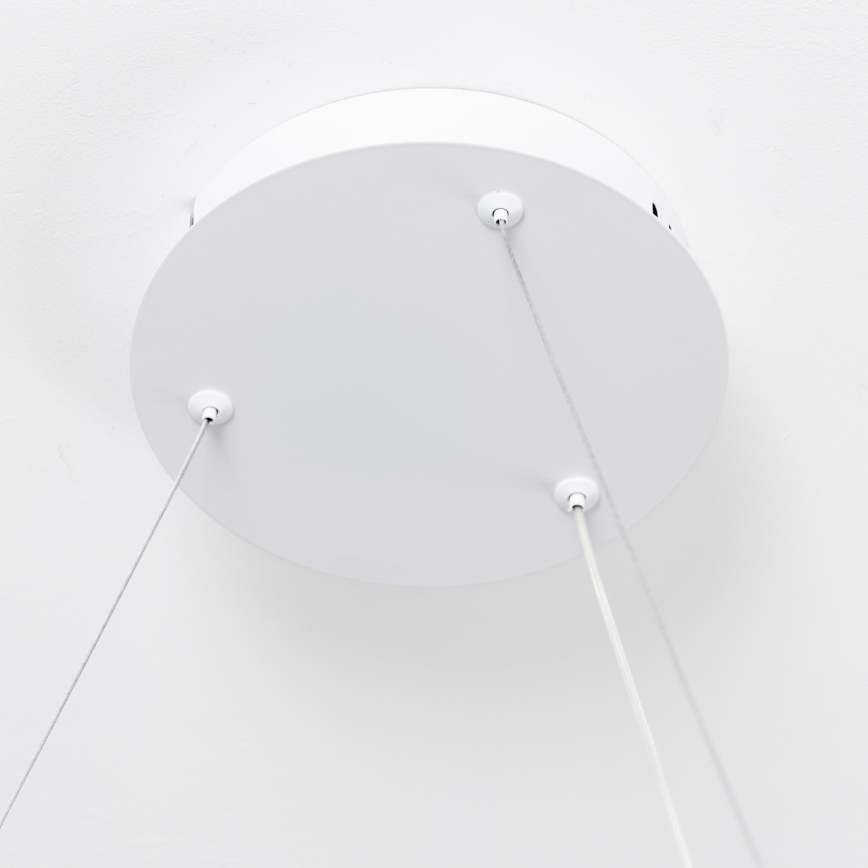 Brilagi - димируема LED висяща лампа на кабел FALCON SLIM LED/42W/230V 3000-6500K диаметър 50 см бяла + дистанционно управление