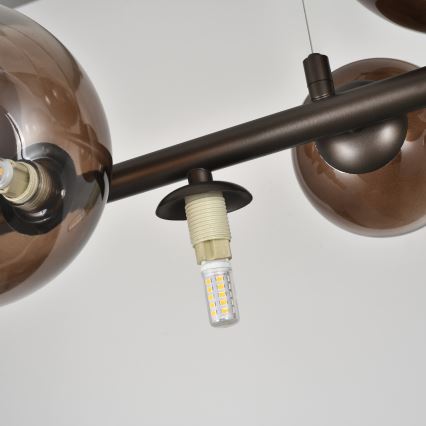 Brilagi - LED полилей с окачване на кабел MILLA 10xG9/3W/230V кафяв/опушено-кафяв