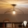 Brilagi - LED полилей с повърхностен монтаж CERIA WIRE 1xE27/60W/230V 40x56 см черен/бронзов