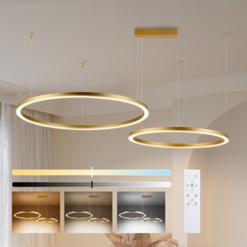 Brilagi - LED полилей с регулируема яркост на кабел PORTOFINO LED/98W/230V 3000-6000K златист + дистанционно управление