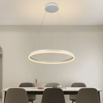 Brilagi - LED димируем полилей на кабел CIRCLE LED/42W/230V 3000-6500K Ø 60 см + дистанционно управление