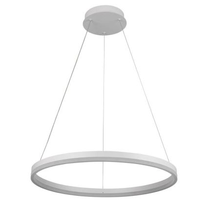 Brilagi - LED димируем полилей на кабел CIRCLE LED/42W/230V 3000-6500K Ø 60 см + дистанционно управление