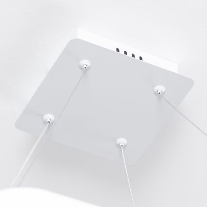 Brilagi - LED димируем полилей на кабел FALCON SLIM LED/50W/230V 3000-6500K 50x50 см бял + дистанционно управление