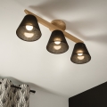 Brilagi - LED  Полилей за повърхностен монтаж ANTHONY 3xE14/40W/230V дъб/черен