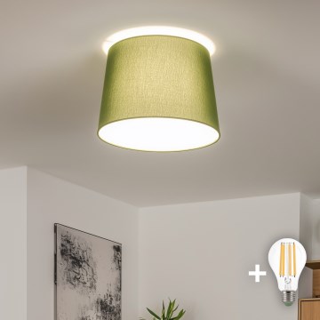 Brilagi - LED полилей за повърхностен монтаж CERIA 1xE27/40W/230V Ø 30 см зелен