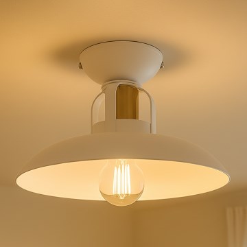 Brilagi - LED Полилей за повърхностен монтаж FLAMENGO 1xE27/60W/230V бял