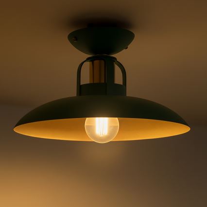 Brilagi - LED Полилей за повърхностен монтаж FLAMENGO 1xE27/60W/230V зелен