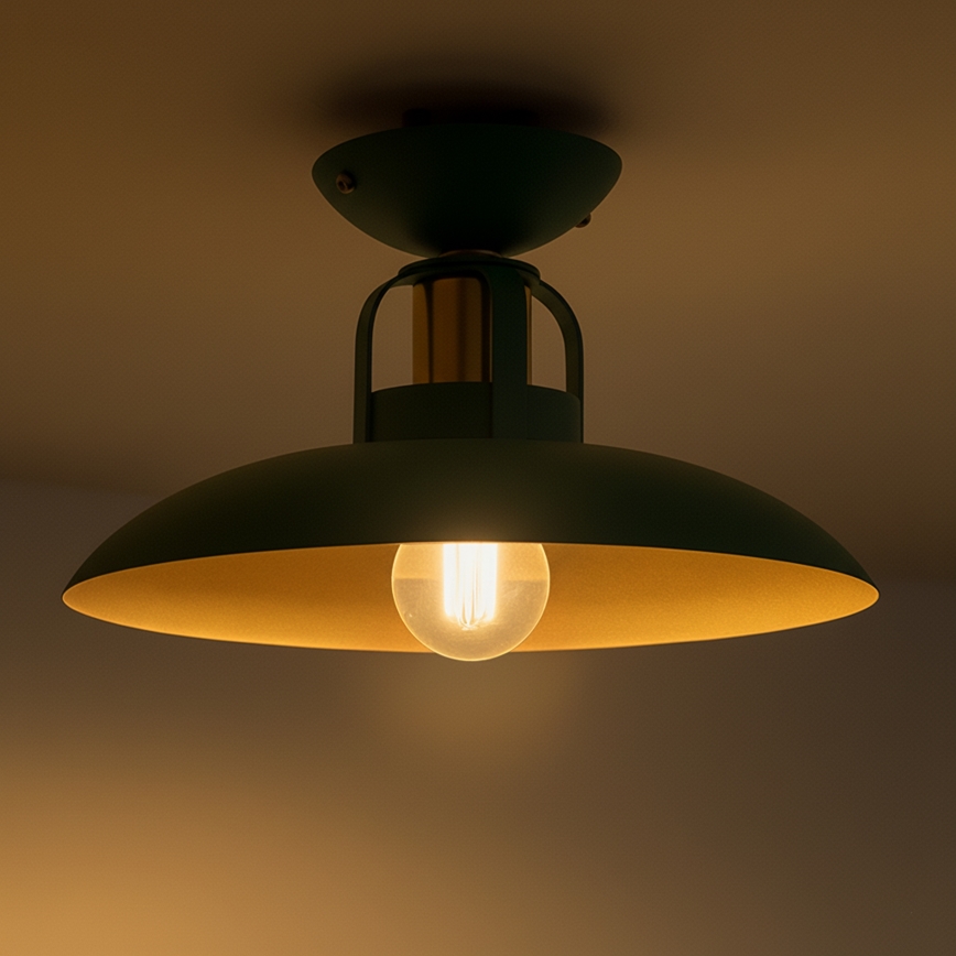 Brilagi - LED Полилей за повърхностен монтаж FLAMENGO 1xE27/60W/230V зелен