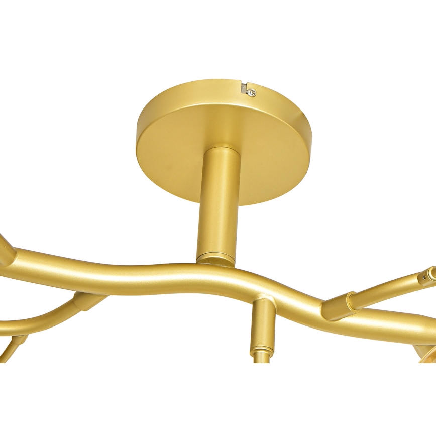 Brilagi - LED Полилей за повърхностен монтаж MISTEL 15xG9/3W/230V златист/бял