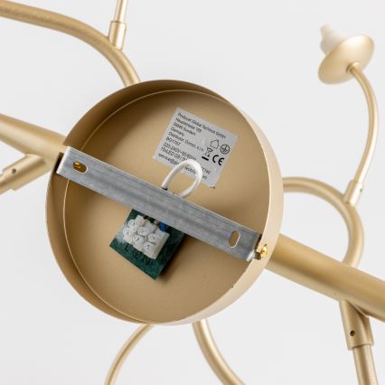 Brilagi - LED Полилей за повърхностен монтаж MISTEL 15xG9/3W/230V златист/бял