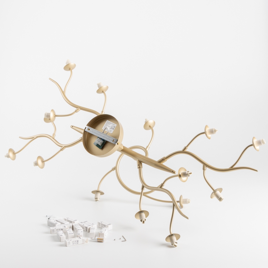 Brilagi - LED Полилей за повърхностен монтаж MISTEL 15xG9/3W/230V златист/бял