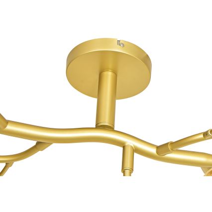 Brilagi - LED Полилей за повърхностен монтаж MISTEL 15xG9/3W/230V златист