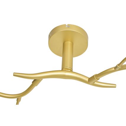 Brilagi - LED Полилей за повърхностен монтаж MISTEL 6xG9/3W/230V златист/бял