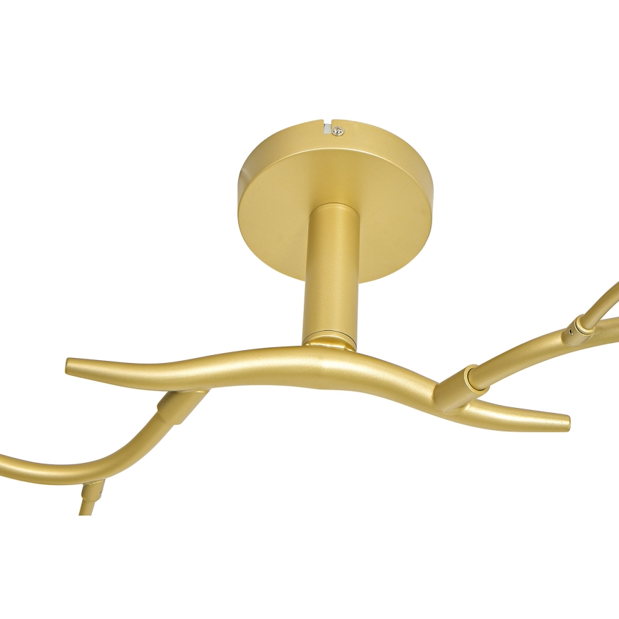 Brilagi - LED Полилей за повърхностен монтаж MISTEL 6xG9/3W/230V златист