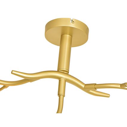 Brilagi - LED Полилей за повърхностен монтаж MISTEL 9xG9/3W/230V златист/бял