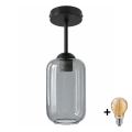 BRILAGI - LED Полилей за повърхностен монтаж RETRO GLASS 1xE27/60W/230V Ø 14 cm черен/димчато сив