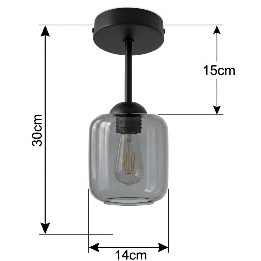 BRILAGI - LED полилей за повърхностен монтаж RETRO GLASS 1xE27/60W/230V Ø 14 см черен/димно сив