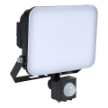 BRILAGI - LED прожектор с сензор ELARA PRO LED/30W/230V IP65