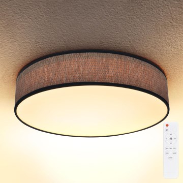 Brilagi - LED регулируемо таванно осветително тяло ADELA LED/48W/230V 3000-6500K Ø 40 см + дистанционно управление