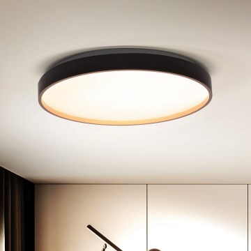 Brilagi - LED регулируемо таванно осветително тяло CALA LED/48W/230V 3000-6500K Ø 38 см + дистанционно управление